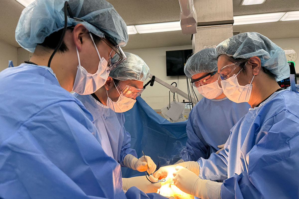 Acute Care Surgery （ACS）チーム | 外傷/専門チーム